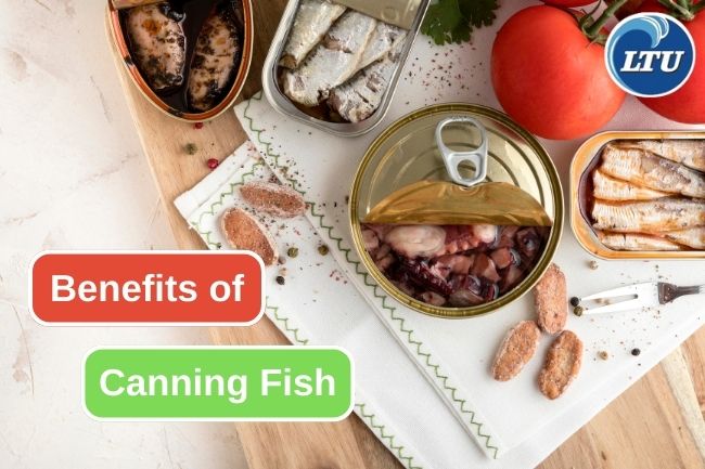 5 Reason Why Canning Is A Great Way To Preserve Fish